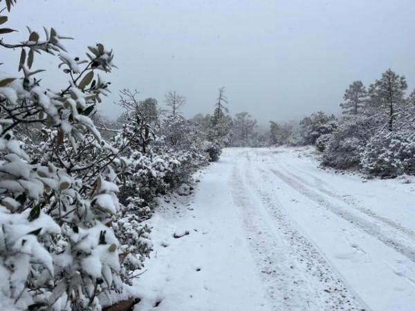 Continuarán bajas temperaturas y pronóstico de nieve en el estado durante las próximas horas