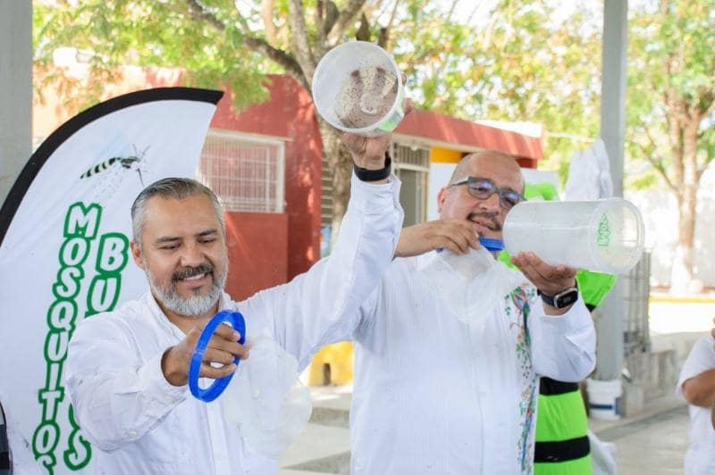 Liberan los primeros Mosquitos Buenos para disminuir casos de dengue, zika y chikungunya