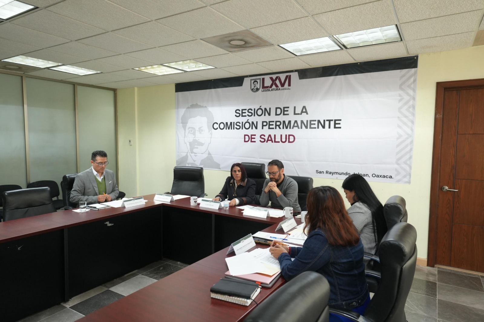 Comisión Permanente de Salud aprueba su Programa de Trabajo