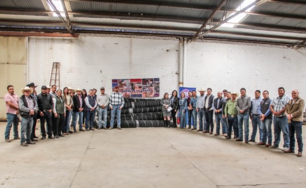 Apoya Estado con mallas antigranizo a 214 productores manzaneros