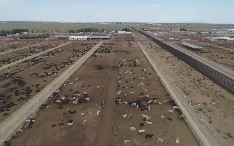 Chihuahua se suma a propuesta de crear cinturones sanitarios para fortalecer la sanidad del ganado