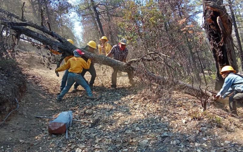 Combaten 438 brigadistas 18 incendios forestales activos en Chihuahua
