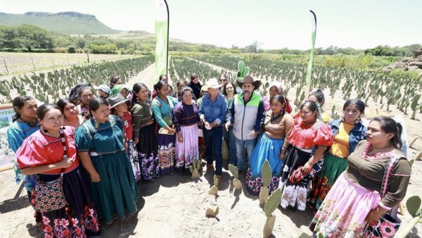 Entrega Gobierno de Jalisco nopal forrajero a productoras de la Región Norte para fortalecer al sector ganadero