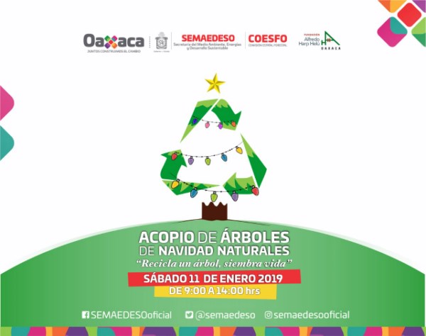 • Este sábado 11 de enero con la Coesfo y la FAHHO se realizará la campaña “Recicla un Árbol, Siembra Vida”