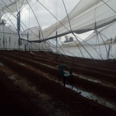las lluvias y vientos durante la tarde noche de este sábado.