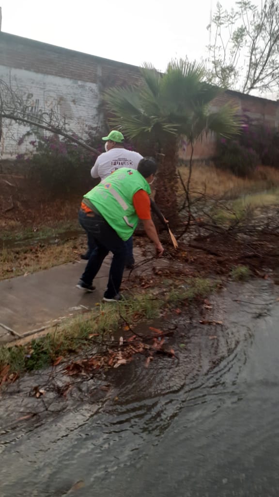 ocasionó la caída de árboles que provocaron la interrupción de vialidades y daños materiales en una vivienda.