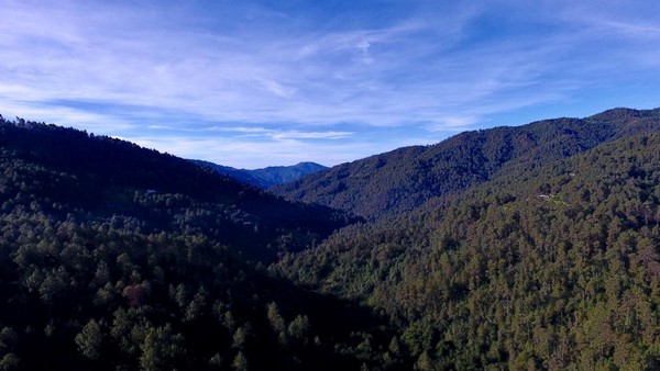 Semaedeso, integra esfuerzos con las comunidades, sociedad civil y organismos internacionales en la conservación de la biodiversidad de la entidad