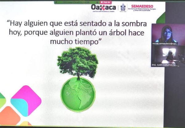 ·         Socializar la importancia sobre la preservación de la biodiversidad de los bosques urbanos