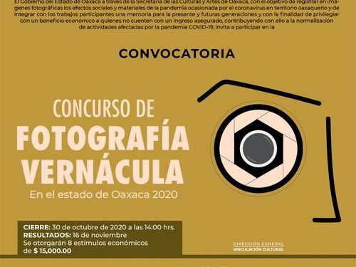 ·         Los participantes realizarán un cuento fotográfico de la realidad en el estado de Oaxaca derivado de la pandemia