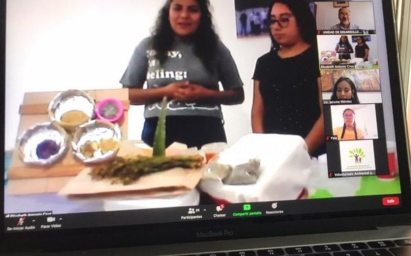 acción coordinada, la Secretaría de Administración y el Voluntariado Ambiental por Oaxaca, imparten taller virtual