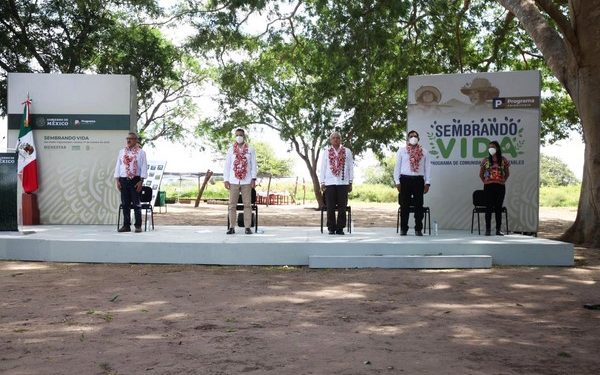   Se pretende sembrar más de 18 millones de árboles frutales y maderables en la entidad