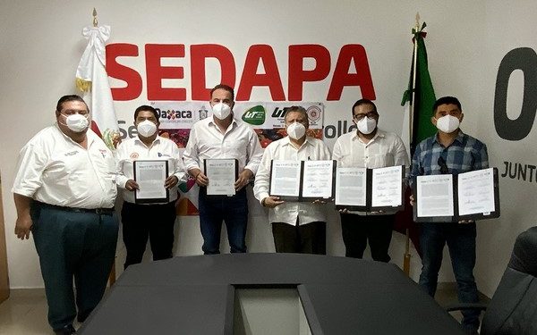 ·         Se brindará asesoría, capacitación y transferencia tecnológica a productores, y se impulsarán proyectos estratégicos en áreas académica, comercial y productiva