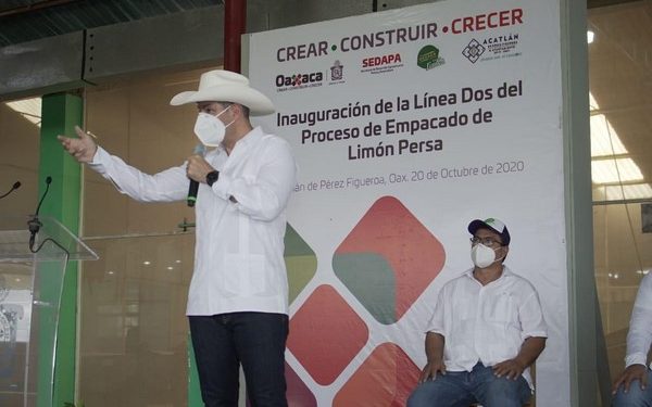    El Mandatario Estatal inauguró la línea dos del proceso de empacado de limón persa