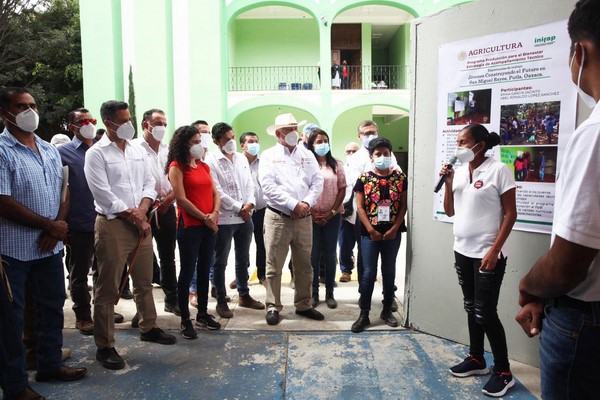 las escuelas de campo en donde se implementa el programa Jóvenes Construyendo el Futuro