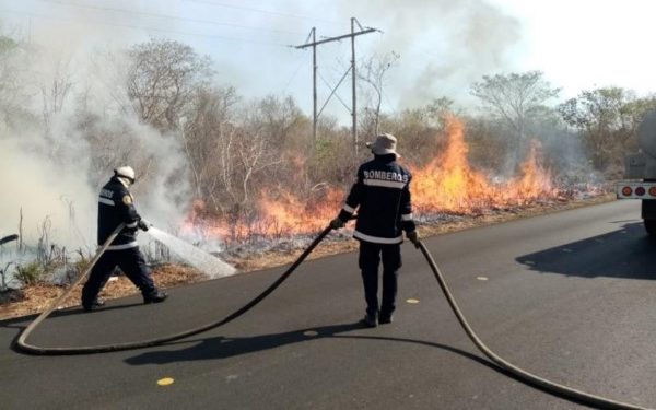 Prevención de Incendios Agropecuarios y Forestales