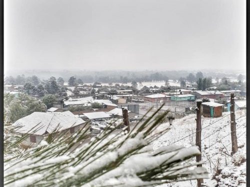 Décimo Cuarta Tormenta Invernal en interacción con el Frente Frío 54,