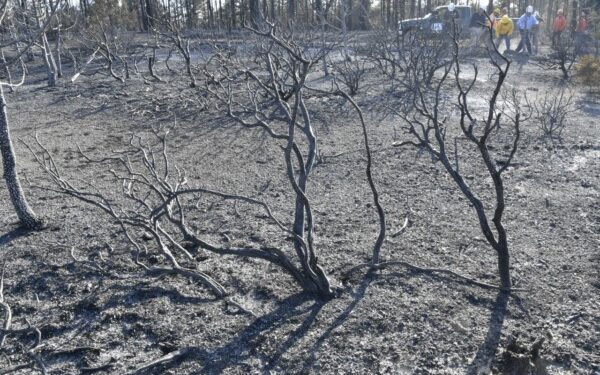 Las lluvias registradas en la zona serrana contribuyeron a dar un respiro a los brigadistas que combatían el fuego en distintos frentes, luego de un arduo trabajo de dos meses