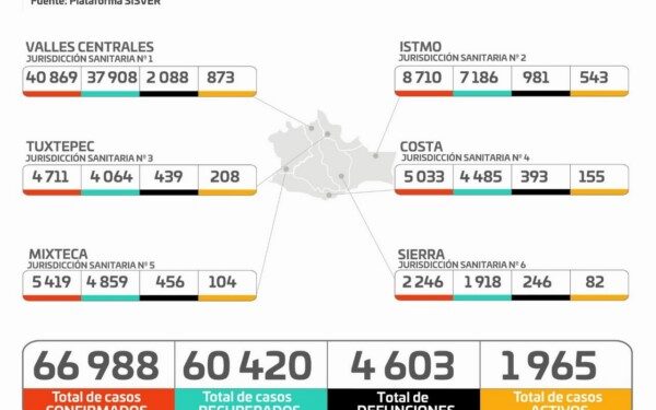       Suman 233 casos nuevos, 20 defunciones y mil 965 activos ·         15 hospitales al 100 por ciento de su capacidad