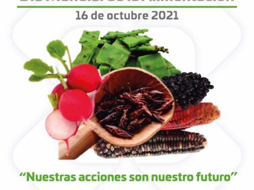 La familia, clave en la alimentación saludable: SSO