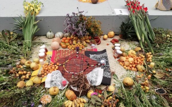 ·         Este 22 de octubre se conmemora el Día Mundial de la Medicina Tradicional