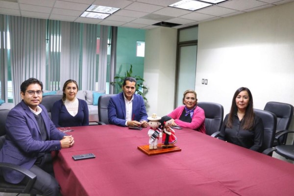 priorizar acciones legislativas que favorezcan el impulso y la promoción del sector en la entidad.
