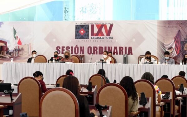 protección de los derechos de las niñas, niños y adolescentes de Oaxaca,