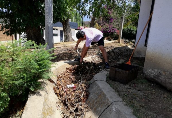 Hasta la semana epidemiológica número cuatro, se han registrado 12 casos de Dengue en la entidad