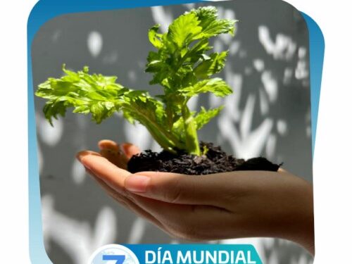 ·         Conmemoran Día Mundial de la Salud bajo el lema “Nuestro Planeta. Nuestra Salud”