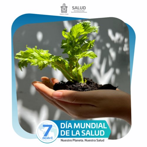 ·         Conmemoran Día Mundial de la Salud bajo el lema “Nuestro Planeta. Nuestra Salud”