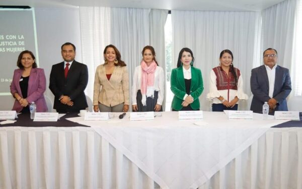 federales y locales para garantizar la libertad de expresión