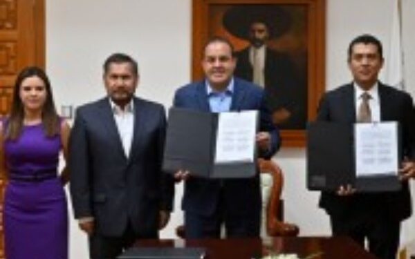ejercer su función con profesionalismo,