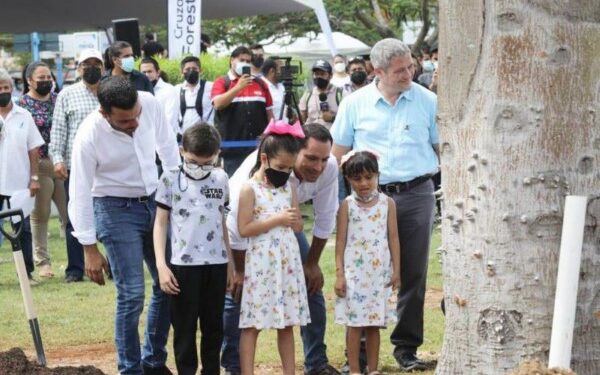 han plantado más 241 mil árboles en la capital yucateca.