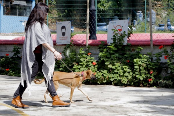 Causan sensación los parques Pet Friendly de Administración