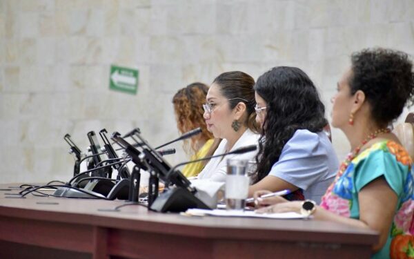 • San Dionisio Ocotepec y San Nicolás son los ayuntamientos donde habrá reemplazos