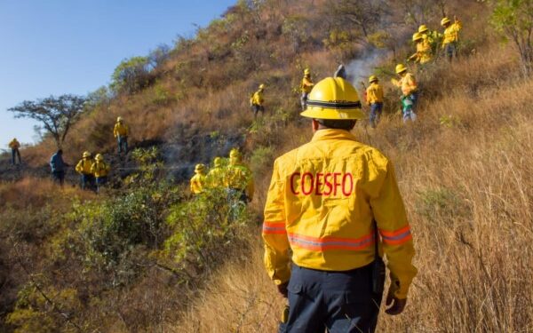 subir a la ciudad y centro ceremonial zapoteca