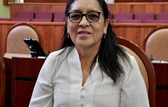 Se busca reducir los daños a la salud de las personas que pese a no ser fumadoras, resultan afectadas