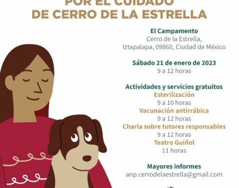Jornada ambiental “Por el cuidado de Cerro de la Estrella”
