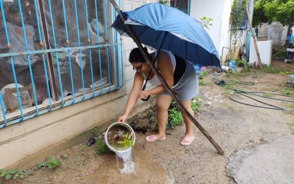 eliminación de criaderos de los mosquitos transmisores del dengue,