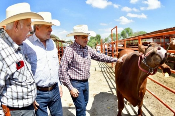 Logra Zona “B1” de Coahuila acreditación para exportación de ganado: MARS