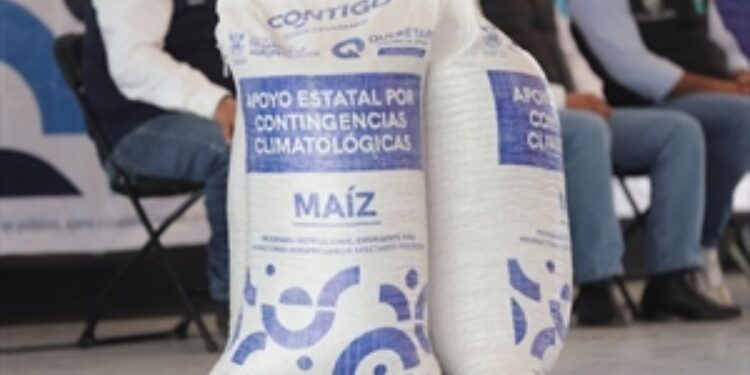 Entrega SEDEA maíz para consumo humano en Huimilpan y Pedro Escobedo
