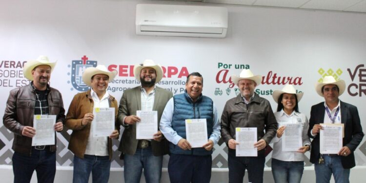 Refrenda Gobierno de Puebla convenio con Veracruz para movilizar colmenas