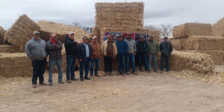 Recibieron más de 2 mil productores apoyos por más de 5 millones de pesos en 2024
