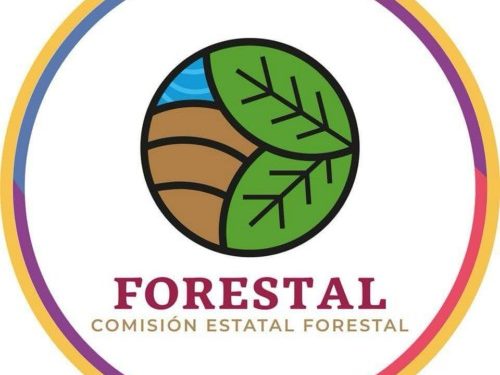 Atienden incendio forestal registrado en Tlaxiaco
