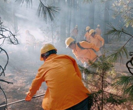 Aumenta número de combatientes para atender 16 incendios forestales activos en el estado