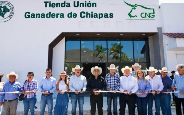 Eduardo Ramírez fortalece al campo chiapaneco con apoyos directos al sector agropecuario
