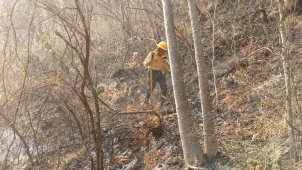 Incendio en Taxco el Viejo controlado al 85% gracias al esfuerzo coordinado de brigadistas de los tres niveles de gobierno