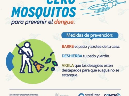 Secretaría de Salud lleva a cabo vigilancia epidemiológica del dengue en el estado